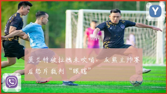 莫兰特被拉拽未吹哨，灰熊主帅赛后怒斥裁判“眼瞎”